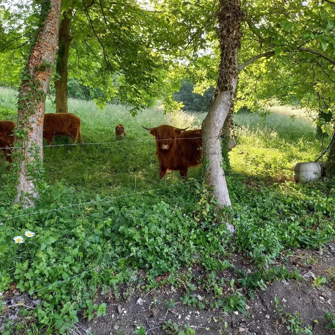 Apartman Potocki Krapina Bagian luar foto
