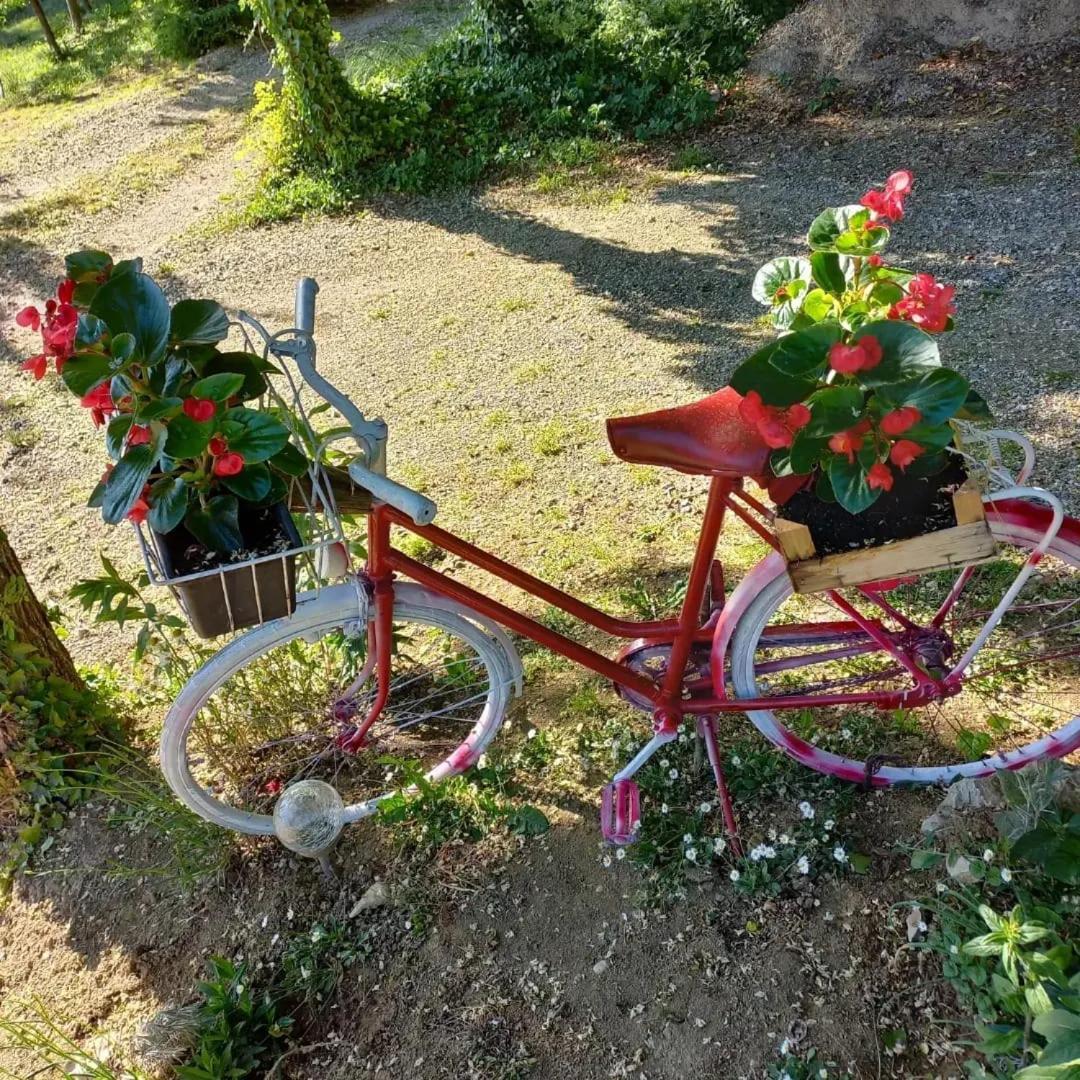 Apartman Potocki Krapina Bagian luar foto