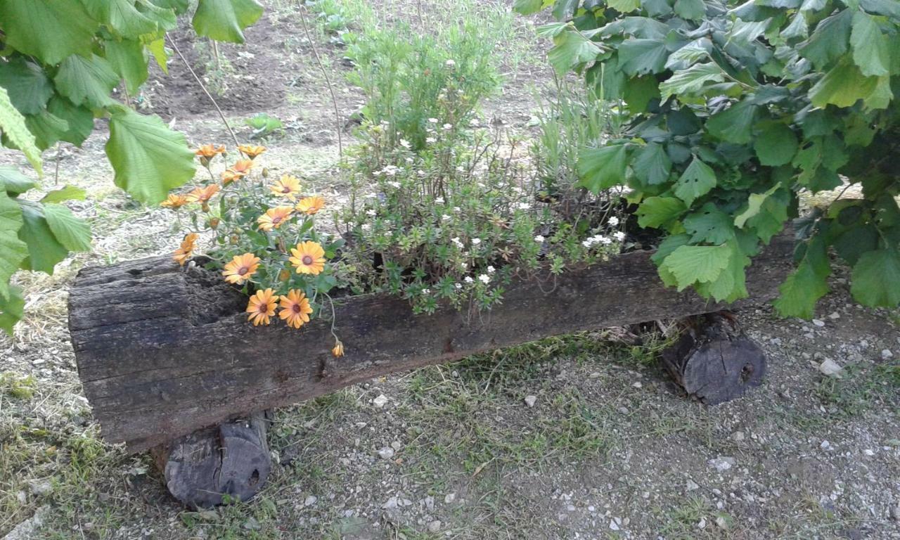 Apartman Potocki Krapina Bagian luar foto