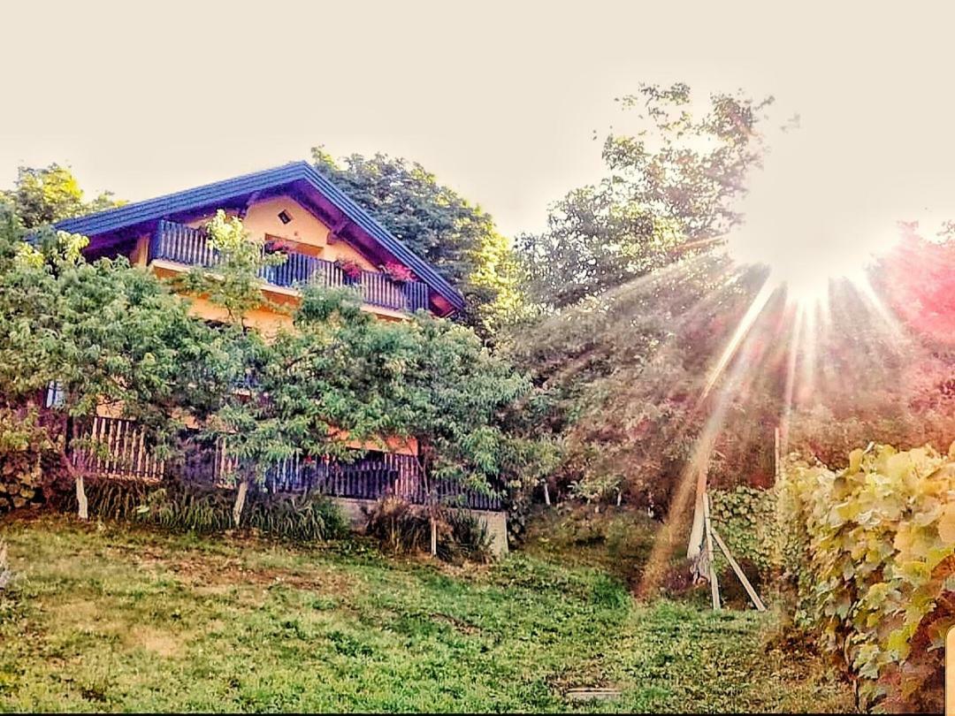 Apartman Potocki Krapina Bagian luar foto