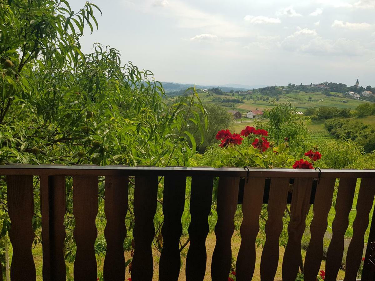 Apartman Potocki Krapina Bagian luar foto