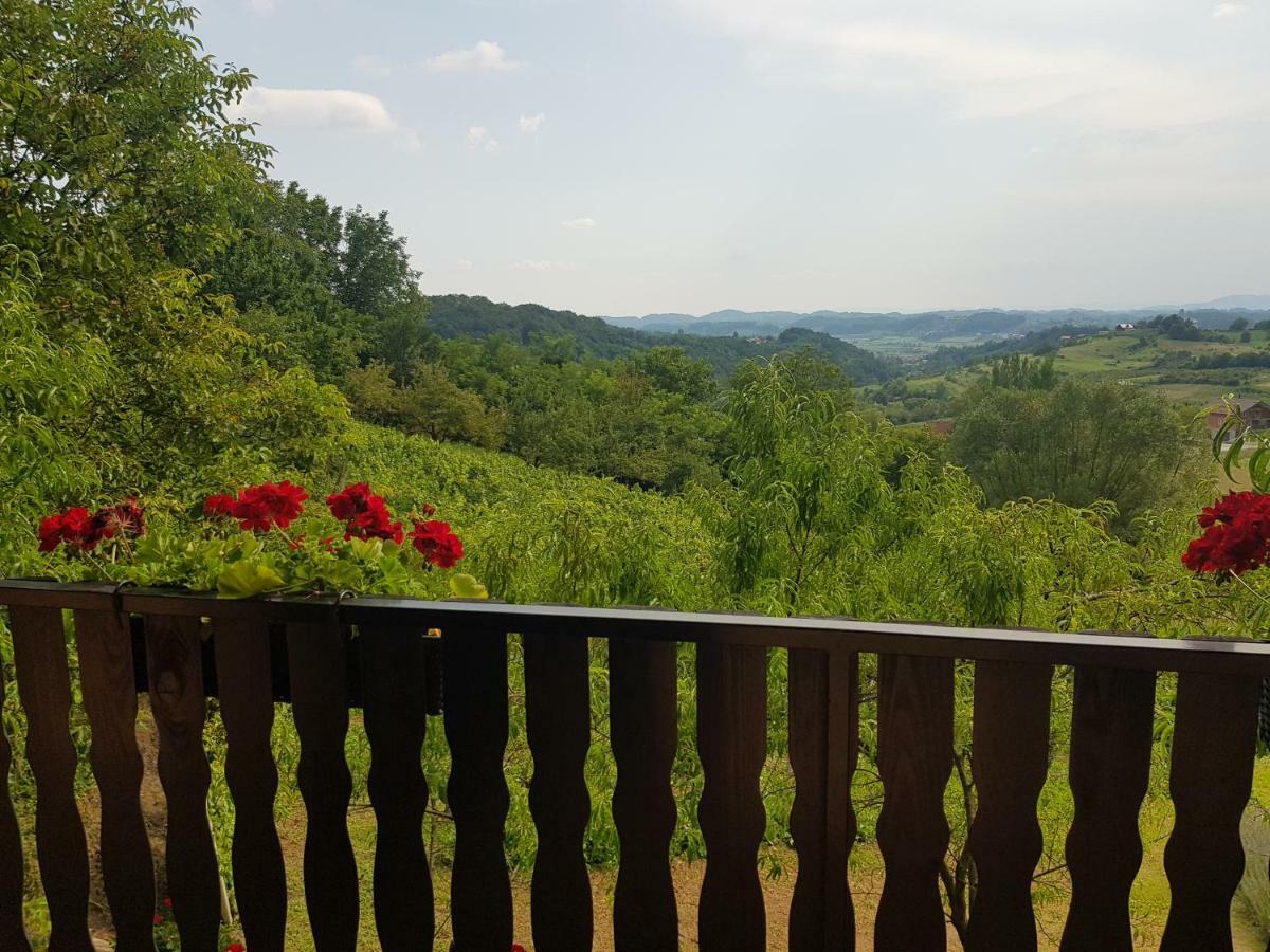 Apartman Potocki Krapina Bagian luar foto